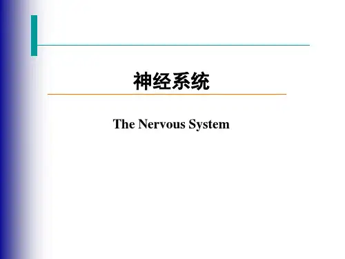 生理学PPT：神经系统