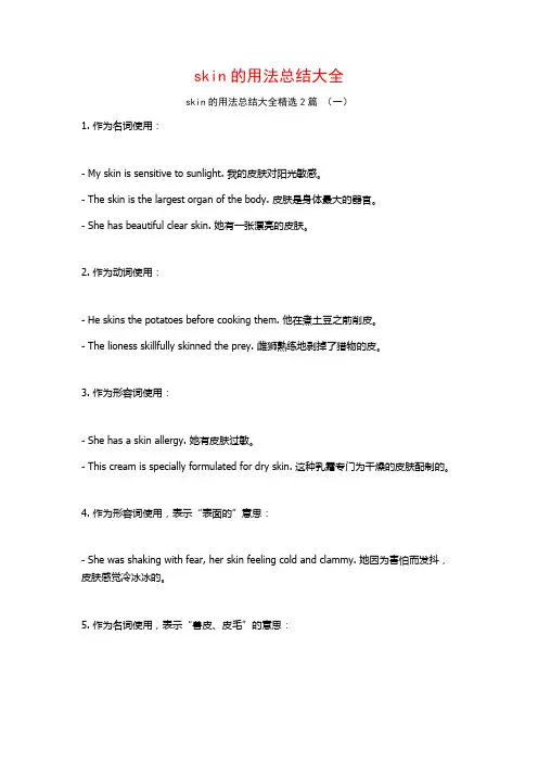 skin的用法总结大全2篇 (2)