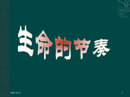 走进新天地1.3生命的节奏(人民版)精品PPT教学课件