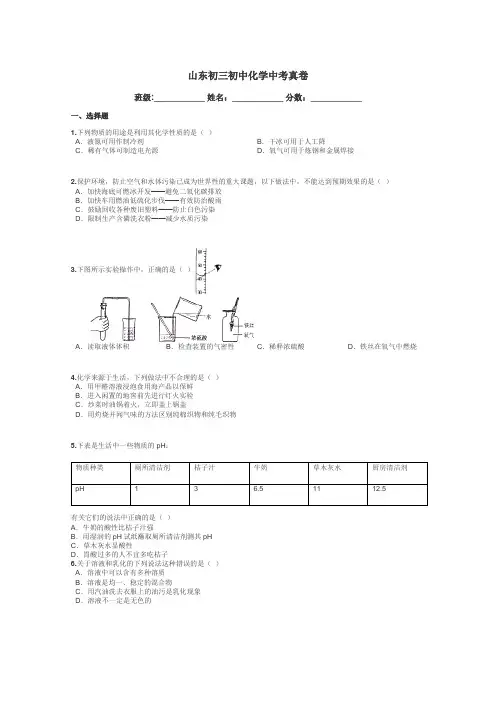 山东初三初中化学中考真卷带答案解析

