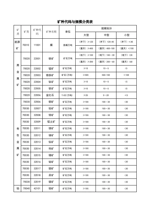 矿种代码与规模分类表