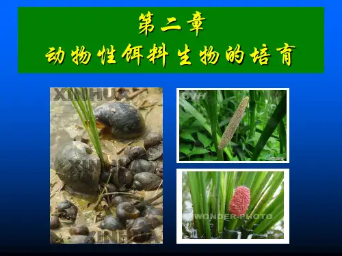 7第二章第1节卤虫