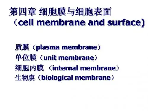 细胞生物学4章 细胞膜与表面
