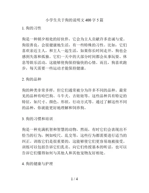 小学生关于狗的说明文400字5篇