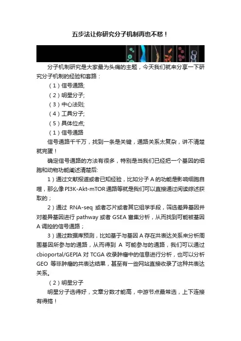 五步法让你研究分子机制再也不愁！