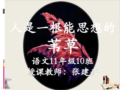 《人是一根能思想的苇草》PPT优秀课件1人教课标版