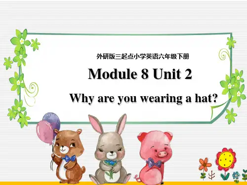 外研版小学英语六年级下册Module 8 Unit 2 Why are you wearing a hat 课件