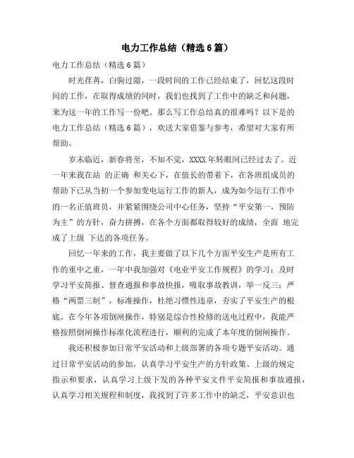 电力工作总结(精选6篇)
