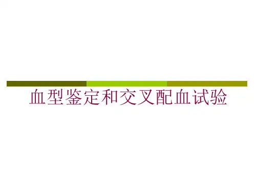 血型鉴定和交叉配血试验培训课件