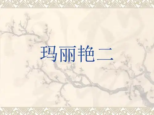 玛丽艳二完美-文档资料