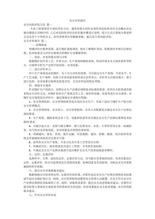 安全评估报告