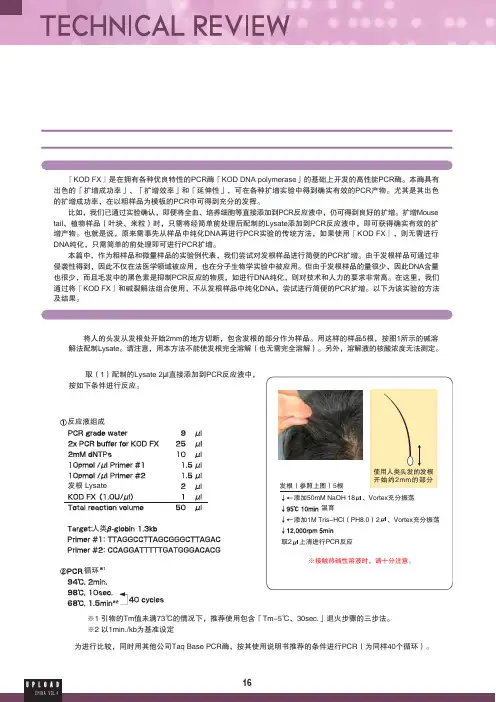 KOD酶 使用说明书