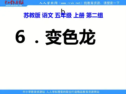 苏教版五年级上册《变色龙》PPT课件2 公开课获奖课件