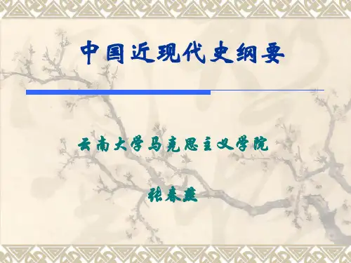 上篇综述 风云变幻的八十年