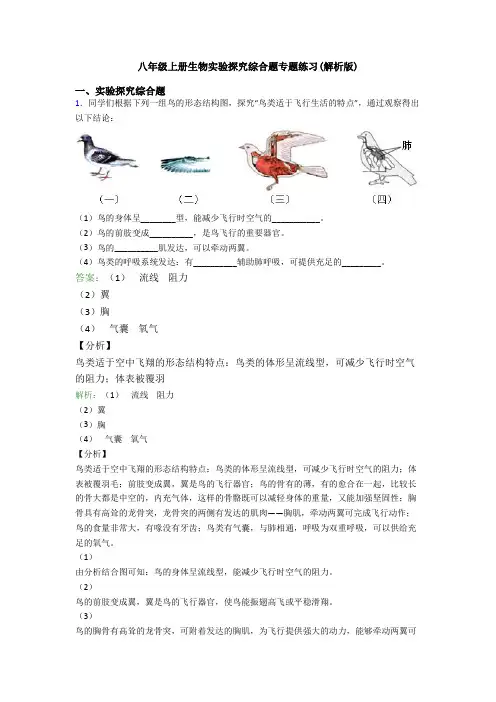 八年级上册生物实验探究综合题专题练习(解析版)