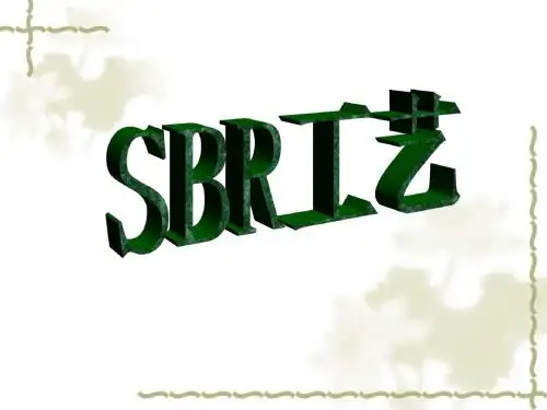 SBR工艺