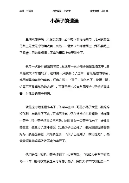 小燕子的遭遇作文【小学五年级500字】