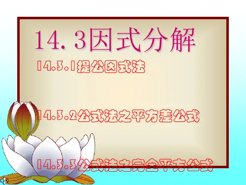 〔人教版〕因式分解教学PPT课件20