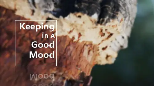 How_to_keep_in_a_good_mood