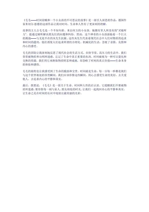 《毛毛——时间窃贼和一个小女孩的不可思议的故事》读后感