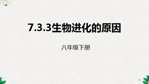 人教生物八年级下册7.3.3生物进化的原因课件 