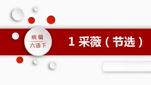 部编版六年级下册语文古诗词诵读：1采薇课件(22张PPT)