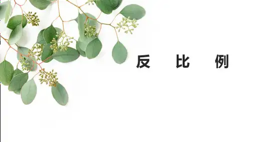 【北师大版】六年级数学下册《反比例》ppt课件