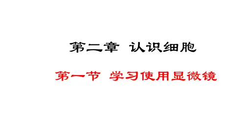 1.2.1-学习使用显微镜课件2024-2025学年人教版生物七年级上册