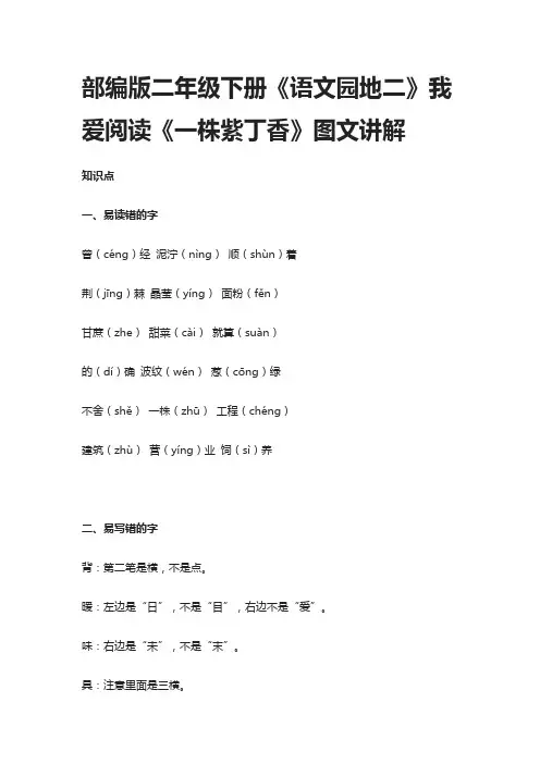 部编版二年级下册《语文园地二》我爱阅读《一株紫丁香》图文讲解