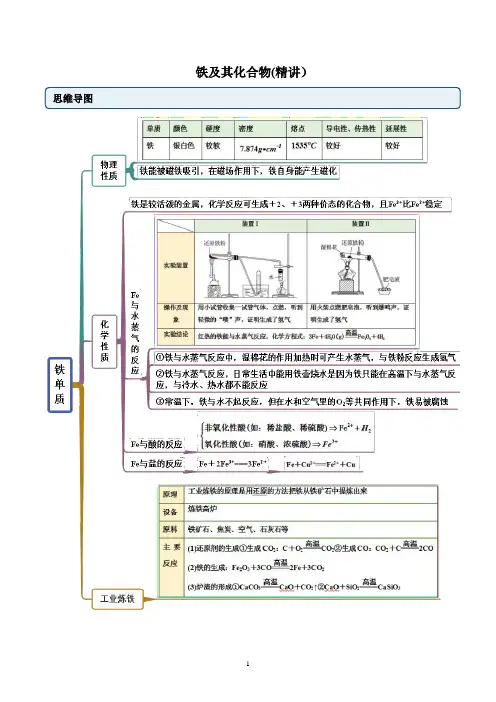 高一上化学铁及其氧化物(精讲)(解析版)