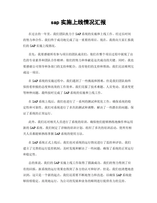 sap实施上线情况汇报