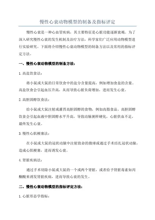 慢性心衰动物模型的制备及指标评定