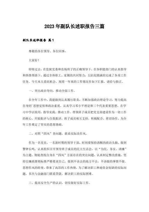 2023年副队长述职报告三篇