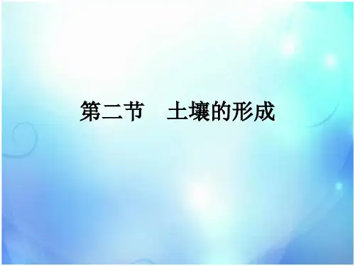 高中地理湘教版(2019)必修第一册  第五章  第二节 土壤的形成