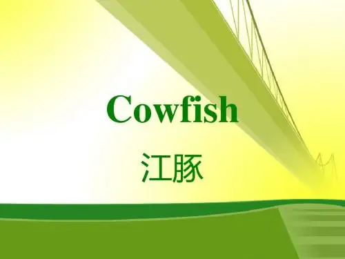 保护江豚
