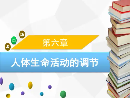 人教版生物七年级下册 第六章 人体生命活动的调节   章末小结课件
