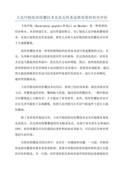 大花序桉组培快繁技术及其无性系造林效果的初步评价