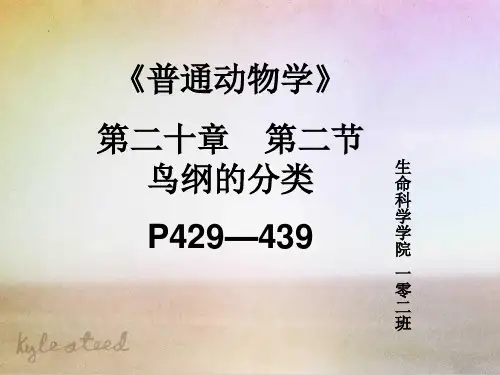 鸟纲的分类