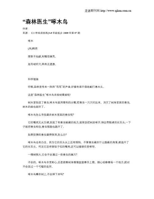 “森林医生”啄木鸟
