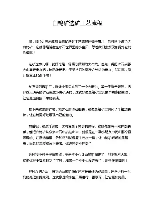 白钨矿选矿工艺流程