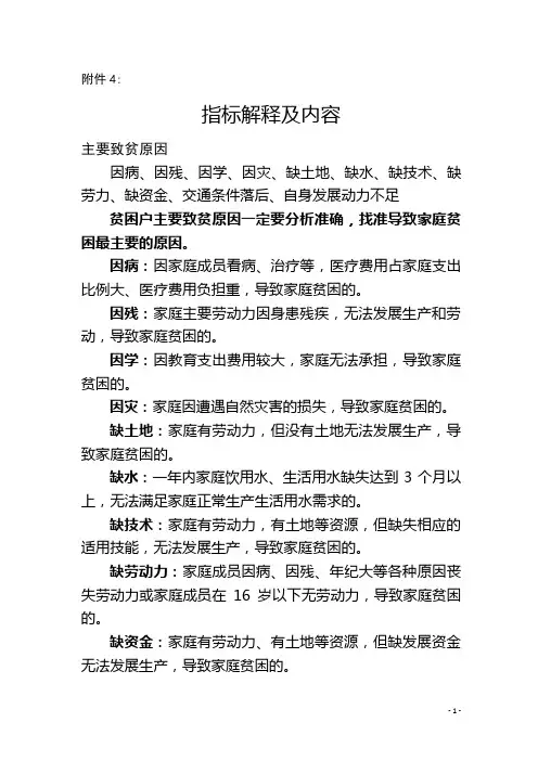 精准扶贫指标解释及内容