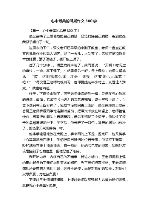 心中最美的风景作文800字