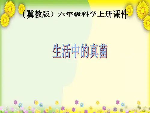 (冀教版)小学科学六上册《生活中的真菌》PPT课件(同课异构) (2)