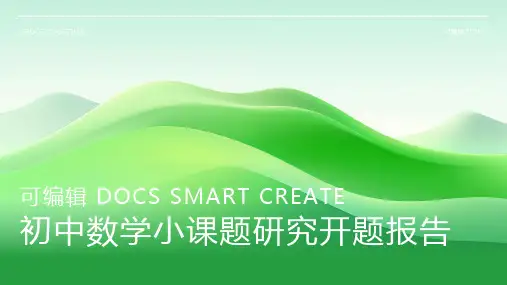 初中数学小课题研究开题报告