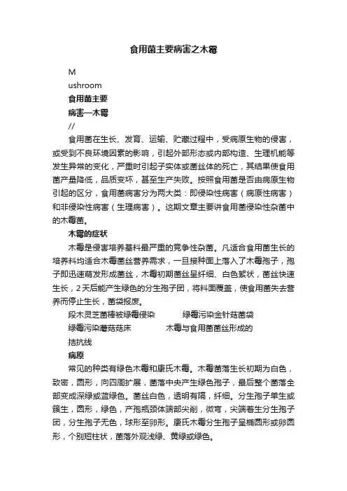 食用菌主要病害之木霉
