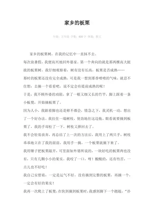 家乡的板栗600字作文