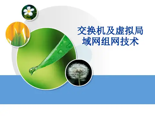 交换机及虚拟局域网组网技术培训课件(ppt 45张)
