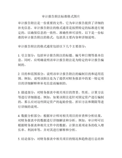 审计报告附注标准格式图片