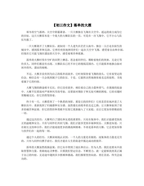【初三作文】落单的大雁