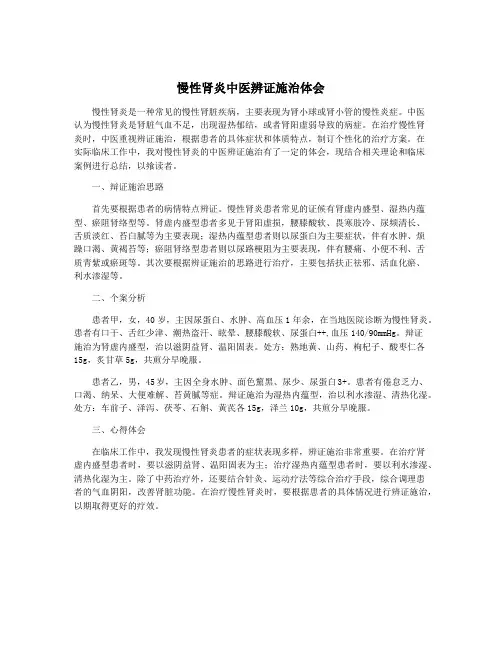慢性肾炎中医辨证施治体会